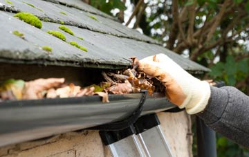 gutter cleaning Forehill, South Ayrshire
